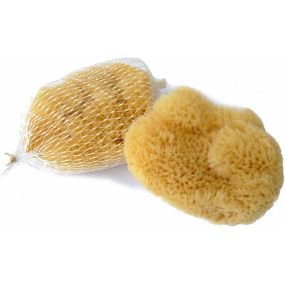 Silk mořská houba jemná kosmetická houba 6 - 7 cm – Hledejceny.cz
