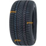 Gripmax Pro Winter 275/30 R19 96V | Zboží Auto