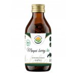 Salvia Paradise Maqui berry kapsle BIO 190 ks – Hledejceny.cz