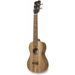 APC CS Concerto Simples APC – Sleviste.cz