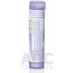 NUX VOMICA POR 30CH GRA 4G – Hledejceny.cz