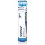 INFLUENZINUM POR 9CH GRA 1X4G – Hledejceny.cz