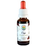 Salvia Paradise Čaga Rezavec šikmý AF tinktura 30 ml – Hledejceny.cz
