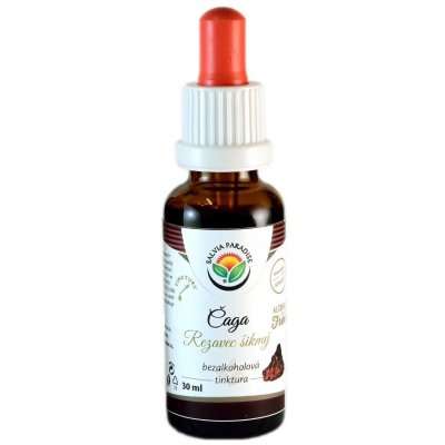 Salvia Paradise Čaga Rezavec šikmý AF tinktura 30 ml – Hledejceny.cz