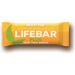 Lifefood Lifebar Plus Bio RAW 47 g – Hledejceny.cz