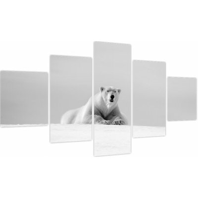 Obraz - Lední medvěd, černobílá, pětidílný 125x70 cm – Hledejceny.cz
