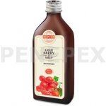 Topvet Goji berry kustovnice sirup 320 g – Sleviste.cz