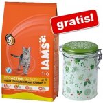 Iams ProActive Health Adult Multi Cat kuře & losos 15 kg – Sleviste.cz