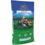 Energys Králík CHAMPION FORTE granulované 25 kg – Hledejceny.cz