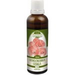 Milota Lesklokorka lesklá Reishi 50 ml – Hledejceny.cz