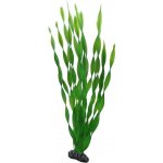 Hobby Vallisneria 34 cm – Sleviste.cz