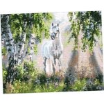 Norimpex Diamantové malování Bílý kůň 30 x 40 cm – Sleviste.cz
