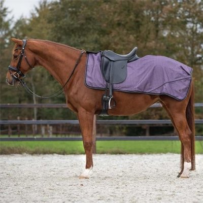 QHP Bederní deka nepromokavá fialová – Sleviste.cz