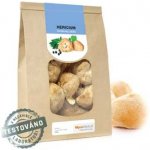 MycoMedica Hericium korálovec ježatý sušený 100 g – Zboží Dáma