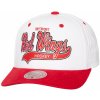 Kšíltovka Mitchell & Ness Detroit Red Wings Tail Sweep Pro Snapback Vintage