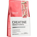 Ostrovit Creatine monohydrate 1000 g – Sleviste.cz