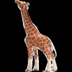 Schleich 14749 Žirafa samec – Hledejceny.cz