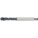 FORTIS Strojní závitník din376 hss-co5 černěný typ inox 6h tvar c m12 fortis – Hledejceny.cz