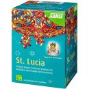 Salus Bio St. Lucia Jablíčko & Skořice čaj Vánoční čas 15 sáčků