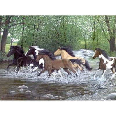 Royal Langnickel Malování podle čísel Běžící koně vodou – Zboží Mobilmania