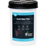 Global Medics Electrolytes Powder 5 kg – Hledejceny.cz