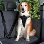 Trixie Dog Protect postroj do auta – Hledejceny.cz