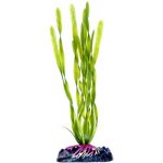 Penn Plax Rostlina umělá Corkscrew Val 18 cm – Zboží Dáma