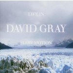 Gray David - Life In Slow Motion CD – Hledejceny.cz