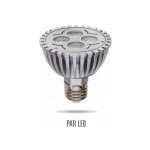 Wojnarowscy LED PAR20 E27 230V 4W 4LED Studená bílá DIM Stmívatelná – Hledejceny.cz