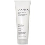 Olaplex Rich Hydration Mask - Hydratační maska na vlasy 370 ml – Zboží Mobilmania