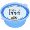 Vonný vosk Bomb Cosmetics Vosk v kelímku Birds of Paradise 35 g