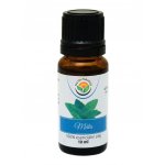 Salvia Paradise Máta 100% esenciální olej 10 ml – Hledejceny.cz