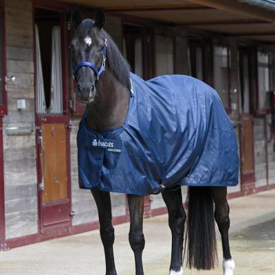 Bucas Deka lehká stájová Stable Sheet navy – Sleviste.cz