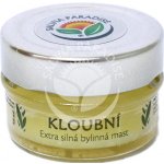 Salvia Paradise Kloubní bylinná mast 50 ml – Zboží Dáma