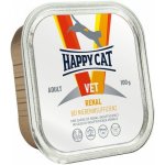 Pedigree RODEO s hovězím masem 70 g – Hledejceny.cz