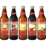 Rabenhorst 5denní detoxikační kúra 5 x 0,75 l – Zboží Dáma