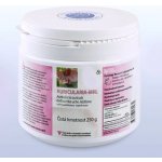 MRL Auricularia MRL Bio mycélium/biomasa 250 g – Hledejceny.cz