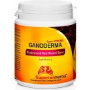 Superionherbs Ganoderma Spor 90 kapslí