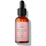 Havlíkova Apotéka Růže damašská olej 30 ml – Zboží Dáma