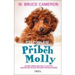 Psí poslání: Příběh Molly - Cameron W. Bruce – Sleviste.cz