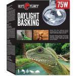Repti Planet Daylight Basking Spot 75 W 007-41003 – Hledejceny.cz