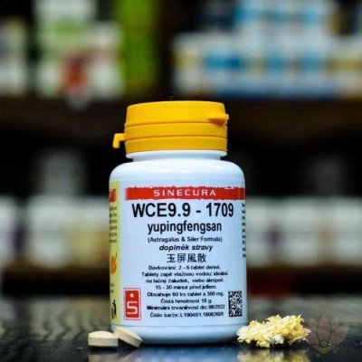 Sinecura WCE9.9-1709 yupingfengsan 60 tablet – Hledejceny.cz