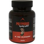 Hrotlife Polyporus 90 kapslí – Hledejceny.cz