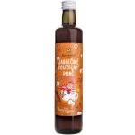 Sonnentor Jablečný kouzelný punč, sirup, BIO 0,5 l – Sleviste.cz