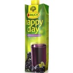 Rauch Happy Day černý rybíz 1 l – Zboží Dáma