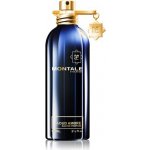 Montale Aoud Ambre parfémovaná voda unisex 100 ml – Zboží Mobilmania