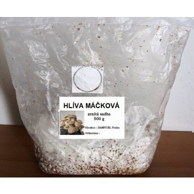 Sadba Hlíva máčková královská cca 0,5 kg