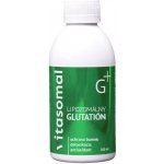 Vitasomal Lipozomální glutathion 200 ml – Hledejceny.cz