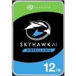 Seagate SkyHawk AI 12TB, ST12000VE001 – Hledejceny.cz