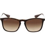 Ray-Ban RB4187 856 13 – Hledejceny.cz